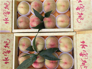 种植无锡水蜜桃期间应该如何施肥追肥